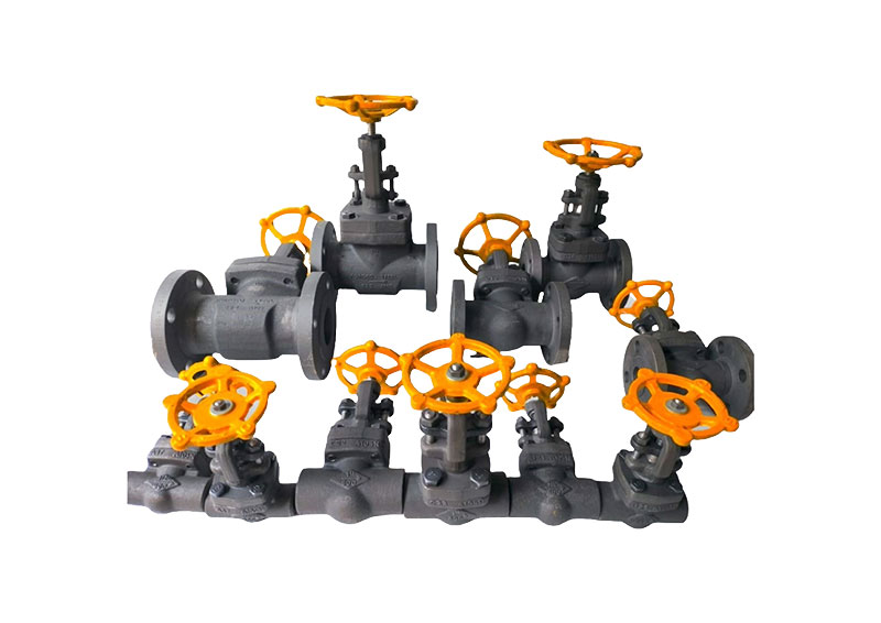 Forged Steel Gate Valve 