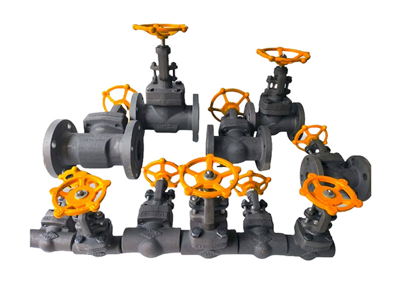 Forged Steel Globe Valve